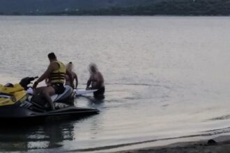 rescue