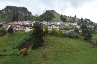 salinas 1