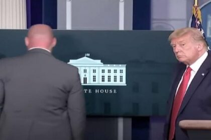trump new