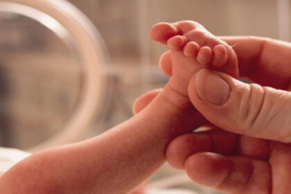 vrefos copy 1200x675