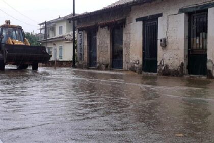 1100 fcc0cbbd 3569 4675 b984 a927e393695d 252863 225409 type13262