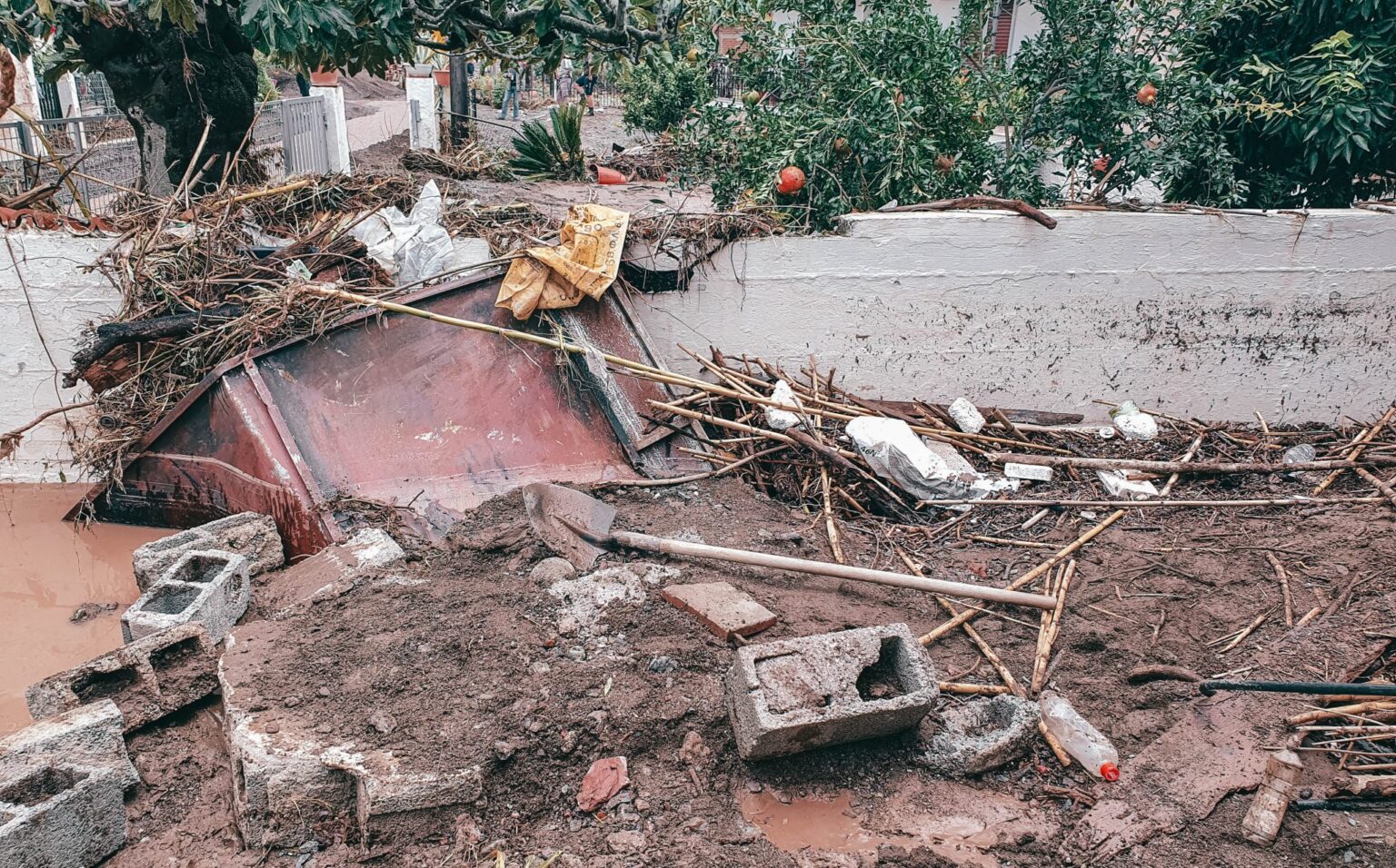 20200919 110836 1 scaled