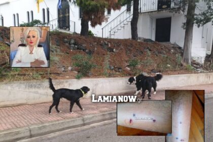 ADESPOTOS TYMFRISTOY