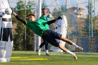 Pseftis asteras 1