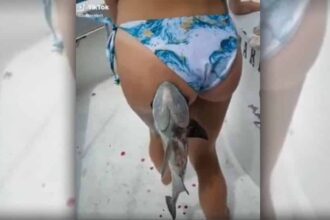 buttfish 0