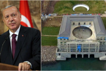 collageVan8 1536x902 1