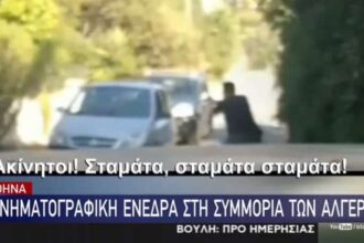 enedra 0