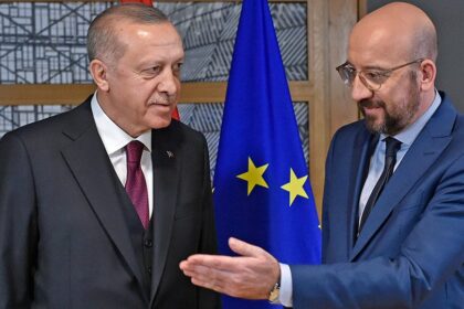 erdogan michel arthro