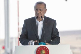 erdogan01 mesa