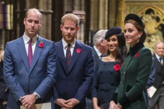 harry william
