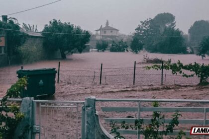 ianos lamia fthiotida 113