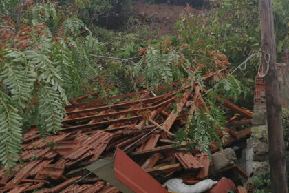 karditsa ianos 1 2048x1077 1