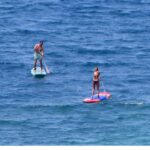 thalassa zesti1 scaled