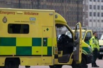 w06 93943w10190239s1471146brit10