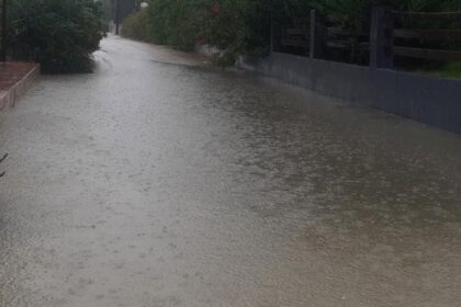 w19 83015kakokairia000