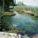 Πηγές Ορχομενού 13 Μαΐου 2018 52 1