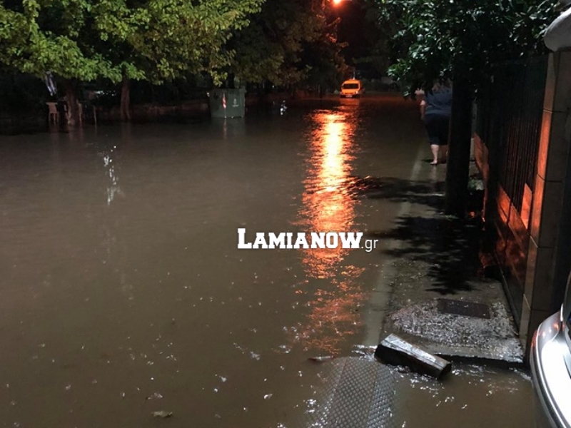 μοσχοχ