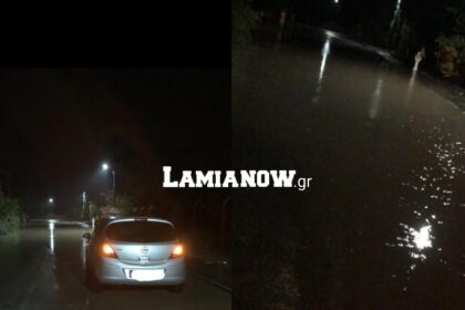 νεο κρικελο