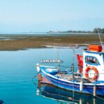 φυκια στυλίδα 6