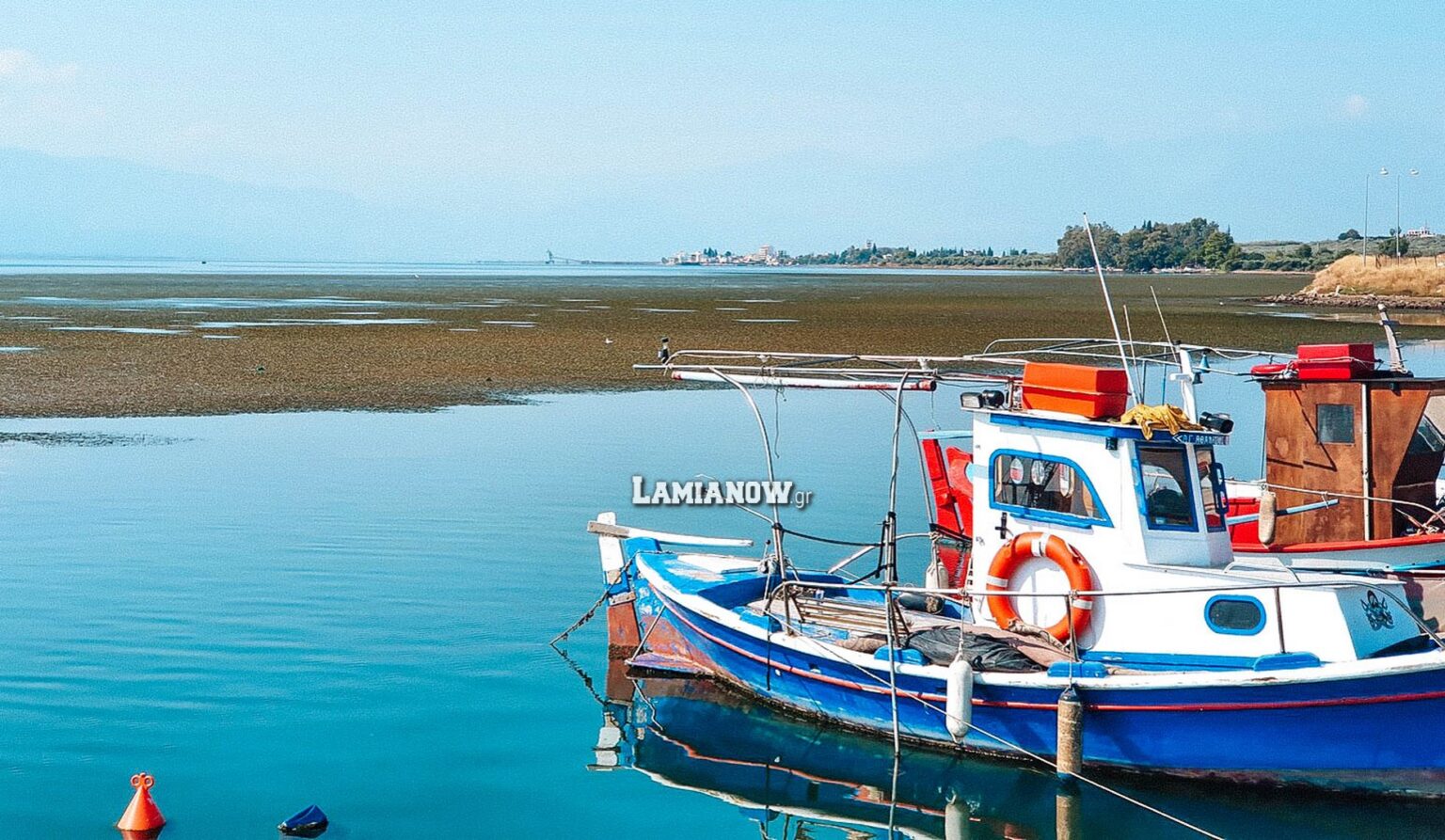 φυκια στυλίδα 6