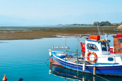 φυκια στυλίδα 6