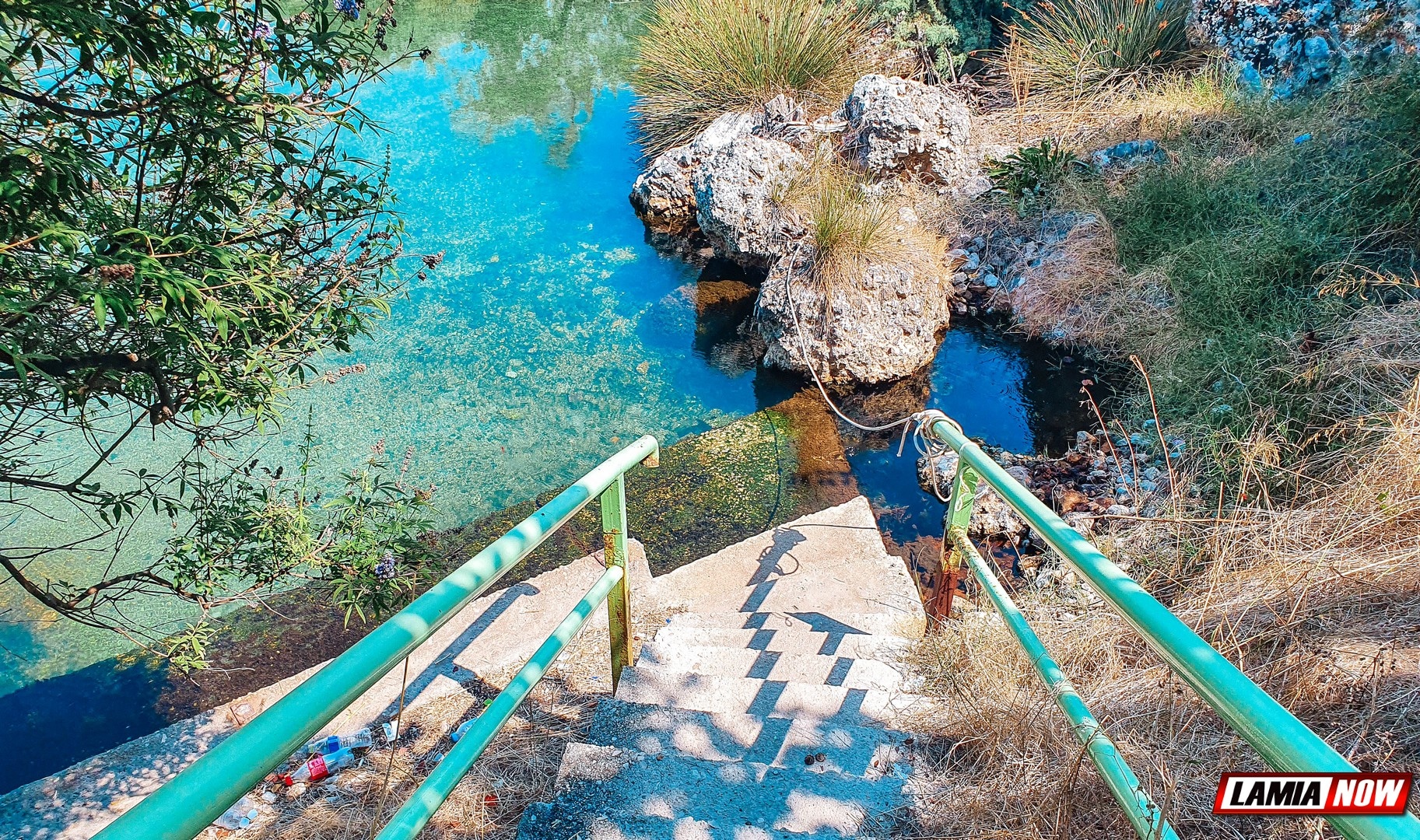 ψωρονερια δημος λαμιεων 6