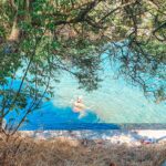 ψωρονερια δημος λαμιεων 8