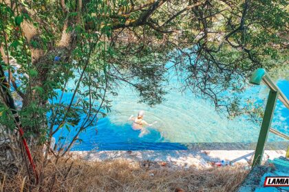 ψωρονερια δημος λαμιεων 8
