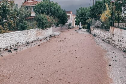 120513086 3419324468159747 840176090560074090 n