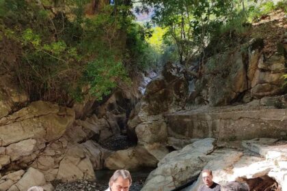 121245868 805476500216901 2241101208023418437 n