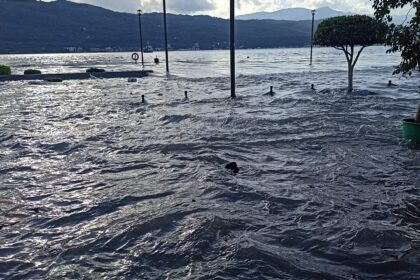 123239454 3323546567773894 2759388040589481184 o