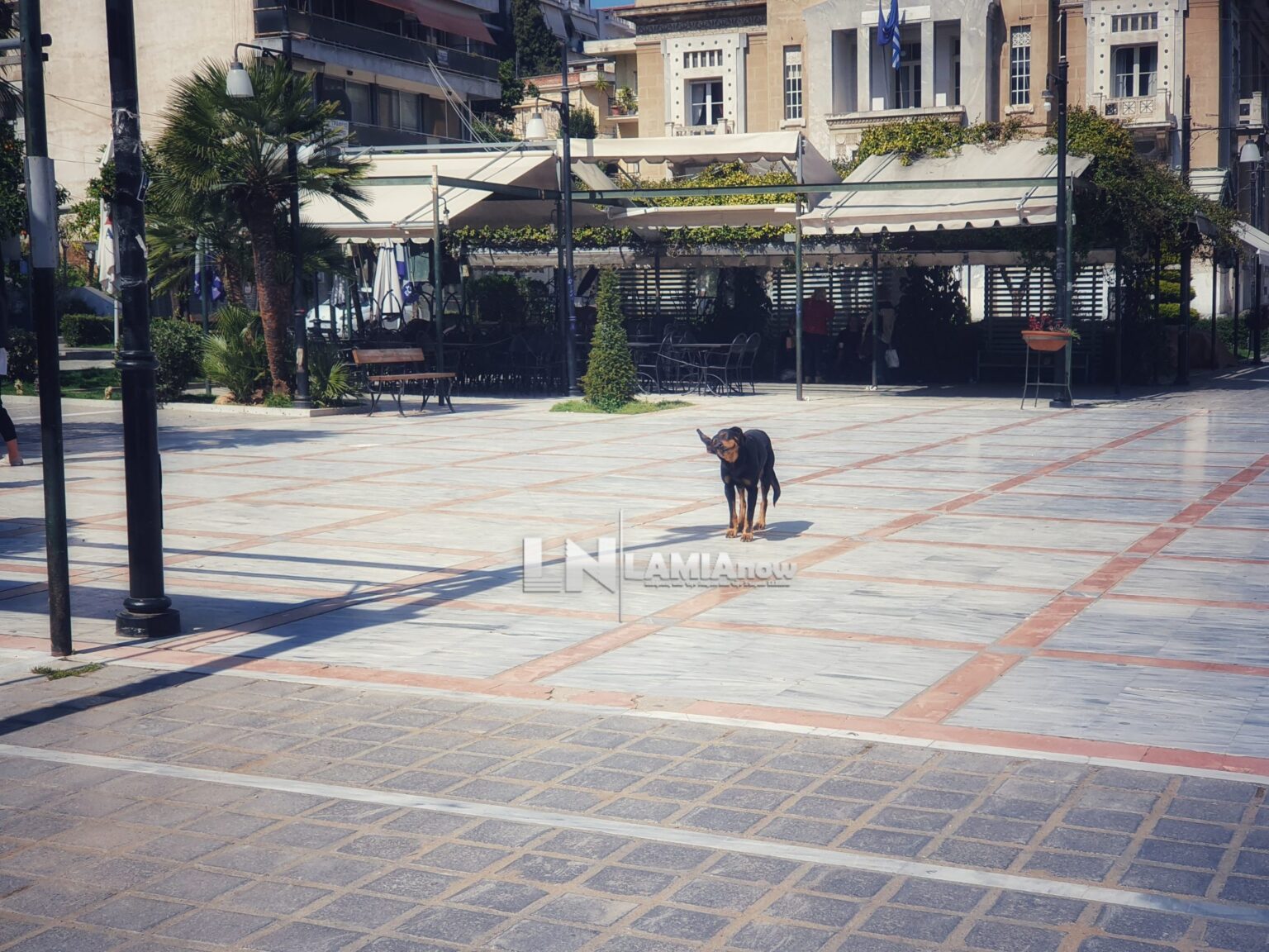 20200314 125809 02 scaled