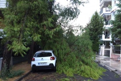 349cfe2d 4b5d 4b37 a12b b319d4ba4014