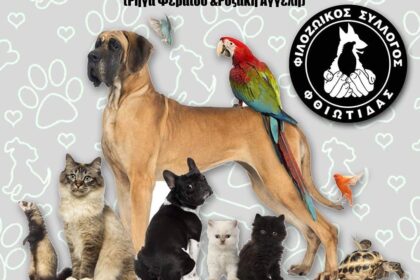 71546141 416744418984152 5774138987471962112 n1 e1570606933844