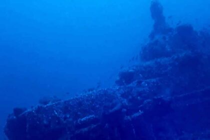 CBA7D551 3D4B 42A3 A937 45A98E05A9B3