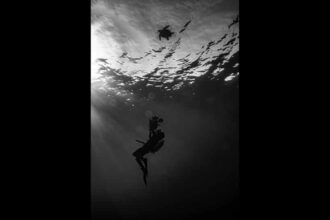 Untitled 1 1