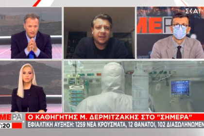 dermitzakis 234untitled