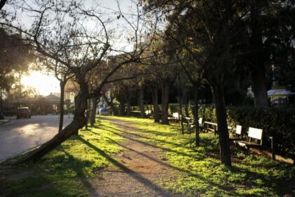 ilios ethnikos kipos