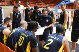layrio basket