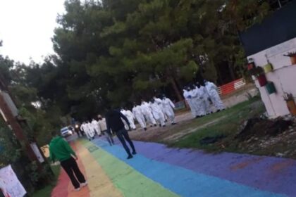 metanastes mitilini 1