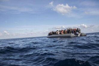 migrants