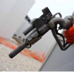 petrelaiothermansis3 scaled