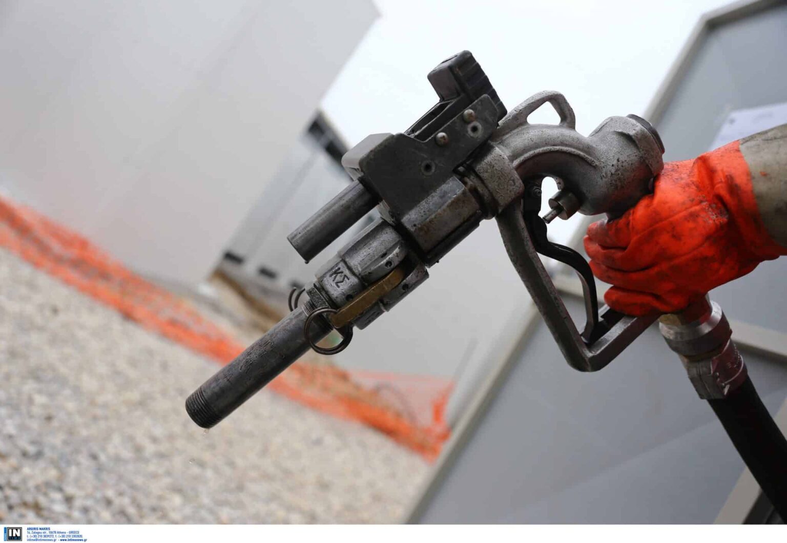 petrelaiothermansis3 scaled