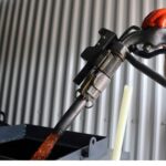 petrelaiothermansis4 scaled