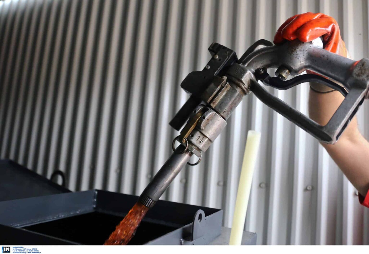 petrelaiothermansis4 scaled