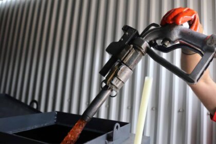 petrelaiothermansis4 scaled