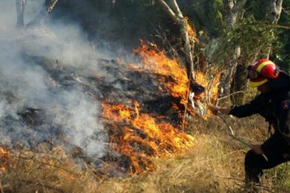 pyrkagiahgoymenitsa800