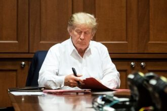 trump work