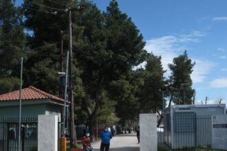 ριτσωνα