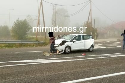 124956973 286809729264680 4575517913979316358 n 780x445 1 1